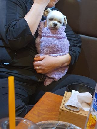 콩이님이 올린 리뷰 사진 3
