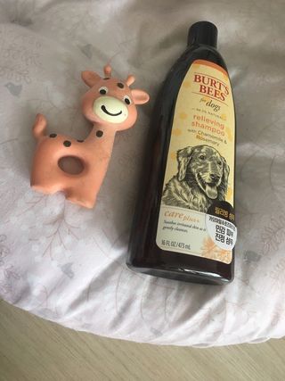 아라아빠님이 올린 리뷰 사진 3