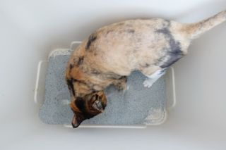 오나오나님이 올린 리뷰 사진 4