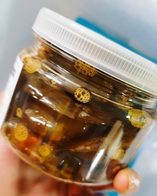 가루파랑님이 올린 리뷰 사진 4