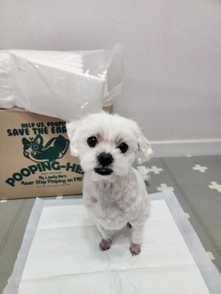 뽀야님이 올린 리뷰 사진 3