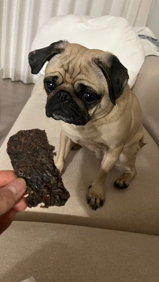 은때님이 올린 리뷰 사진 2