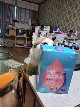 푸름웰니스 라바 쑥쑥구미 36g — 5점을 준 리뷰어가 2022년 4월 올린 사용 사진