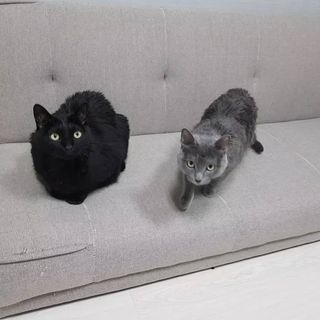 Xisbeauty님이 올린 리뷰 사진 3