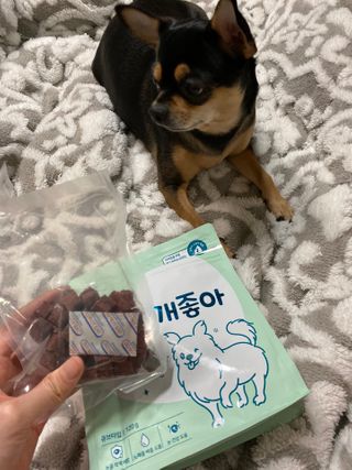 My Pet Care 천연단백질 눈건강에 개좋아 — 5점을 준 리뷰어가 2021년 2월 올린 사용 사진