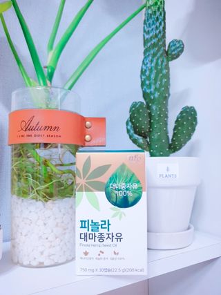 nfp 피놀라 대마종자유 — 5점을 준 리뷰어가 2021년 5월 올린 사용 사진