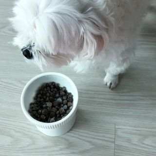 torius님이 올린 리뷰 사진 2