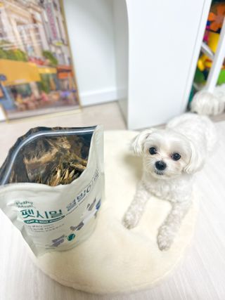[펫시밀] 원물그대로 영양듬뿍 동결건조 왕북어트릿300g,왕치킨트릿400g,열빙어트릿300g 대용량 간식 — 5점을 준 리뷰어가 2023년 5월 올린 사용 사진