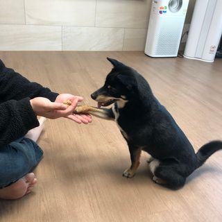 초코바님이 올린 리뷰 사진 4