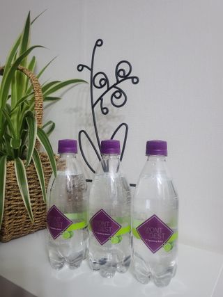 몽베스트 Montbest with Sparkling water 플레인/라임/레몬 20병(랜덤) — 5점을 준 리뷰어가 2024년 5월 올린 사용 사진