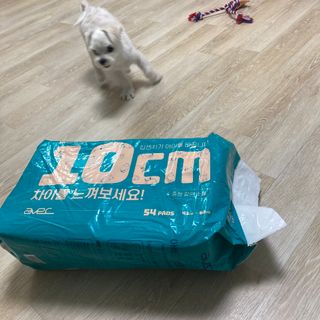 아베크 펫 와이드 프리미엄 중형 애견 강아지 배변 패드 54매 1팩 45g — 5점을 준 리뷰어가 2021년 7월 올린 사용 사진