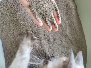 듀야님이 올린 리뷰 사진 1