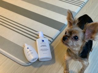 kkyubebe님이 올린 리뷰 사진 2