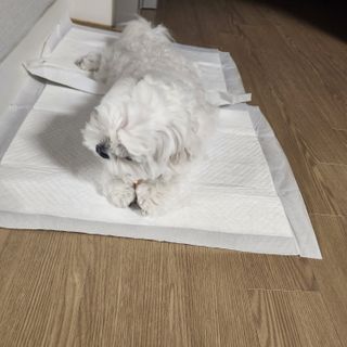 콩닥콩닥행님이 올린 리뷰 사진 3