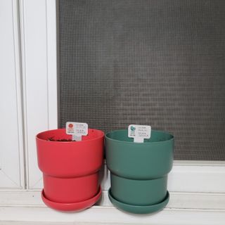 뫙님님이 올린 리뷰 사진 2