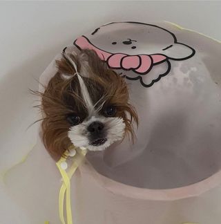 루이비똥💩님이 올린 리뷰 사진 2