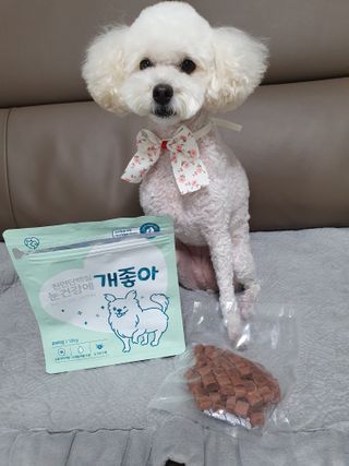 My Pet Care 천연단백질 눈건강에 개좋아 — 5점을 준 리뷰어가 2020년 12월 올린 사용 사진