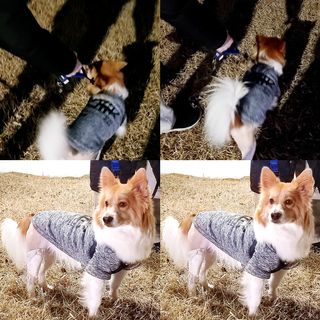 림림님이 올린 리뷰 사진 3