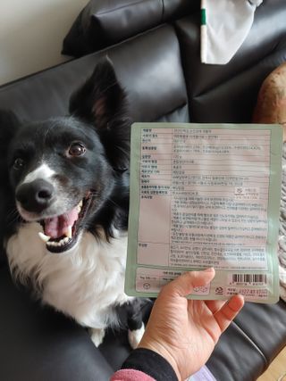 My Pet Care 천연단백질 눈건강에 개좋아 — 4.5점을 준 리뷰어가 2021년 2월 올린 사용 사진