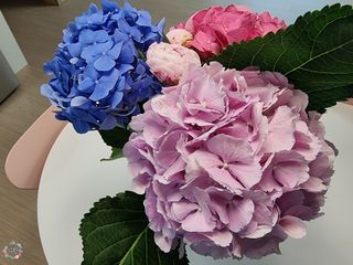 박꽃님이 올린 리뷰 사진 2