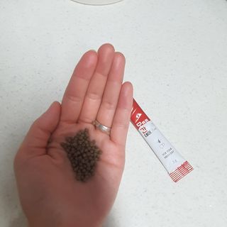 lesia님이 올린 리뷰 사진 1