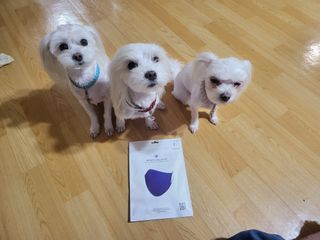 공팔리터님이 올린 리뷰 사진 2