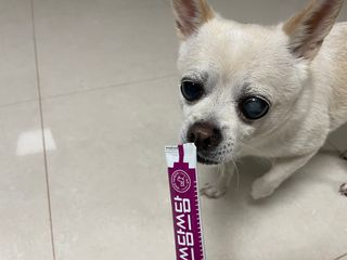 띵가띵가님이 올린 리뷰 사진 3