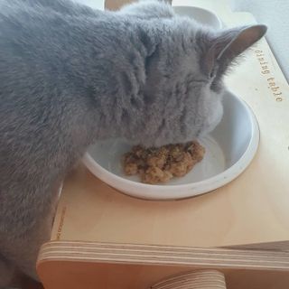 마린님이 올린 리뷰 사진 1