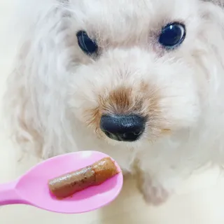 닥터할리 펫 치즈 뉴트리션 — 4점을 준 리뷰어가 2021년 10월 올린 사용 사진