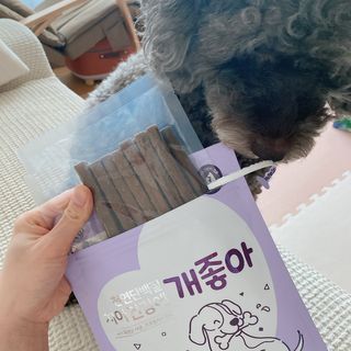 My Pet Care 천연단백질 치아건강에 개좋아 — 5점을 준 리뷰어가 2021년 1월 올린 사용 사진