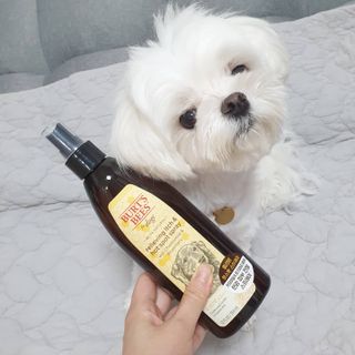 lala님이 올린 리뷰 사진 2