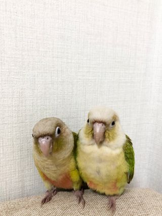 Lucy님이 올린 리뷰 사진 1