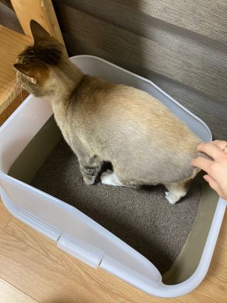 앙주비님이 올린 리뷰 사진 3