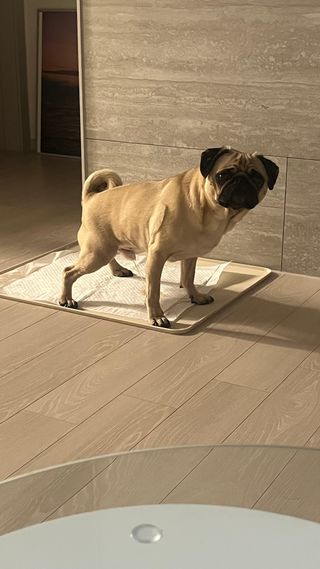 은때님이 올린 리뷰 사진 3
