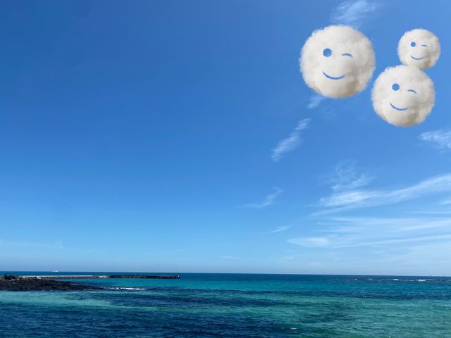 - 리뷰 사진