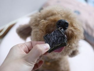 민쓰님이 올린 리뷰 사진 3