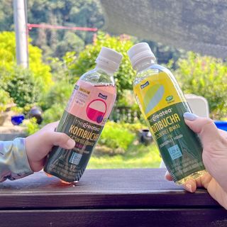더그레잇티 콤부차 [매일유업] 더그레잇티 44kcal 콤부차 300ml *12개입 (오리지널 6개+베리리치 6개) — 4.5점을 준 리뷰어가 2023년 8월 올린 사용 사진