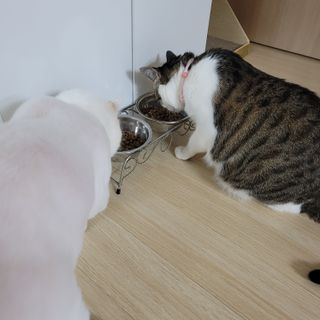 AnnaJo님이 올린 리뷰 사진 3