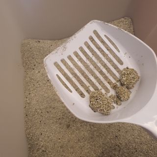 먕아냥해봐님이 올린 리뷰 사진 3