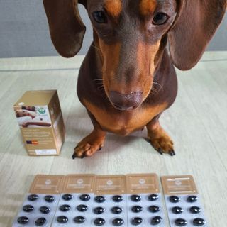 슬림플래닛 잔티젠 600mg 굿밤 다이어트 — 4점을 준 리뷰어가 2021년 7월 올린 사용 사진
