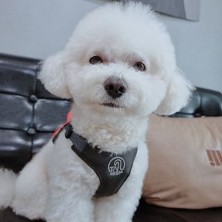 우주님이 올린 리뷰 사진 2