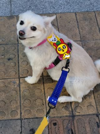 임예슬님이 올린 리뷰 사진 3
