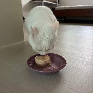 Se2님이 올린 리뷰 사진 2