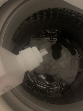 강아지님이 올린 리뷰 사진 2