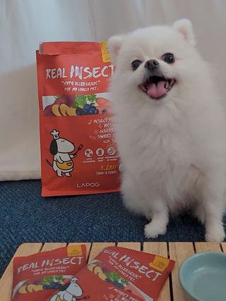 꽃태희님이 올린 리뷰 사진 3