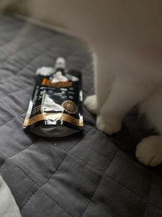 화이집사님이 올린 리뷰 사진 4