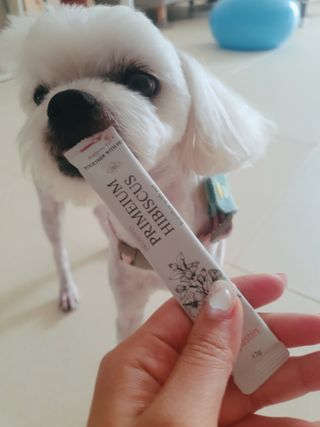 미진냥님이 올린 리뷰 사진 1