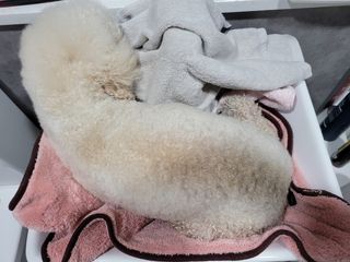 kongsae88님이 올린 리뷰 사진 4