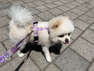 도로2님이 올린 리뷰 사진 2
