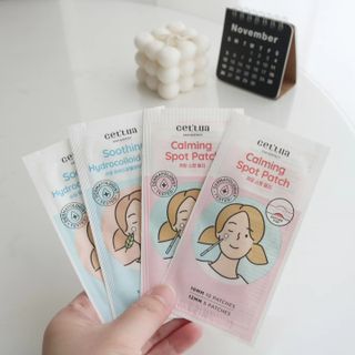 내삶의비타민님이 올린 리뷰 사진 2